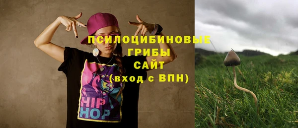 бошки Абдулино