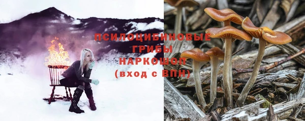 каннабис Абаза