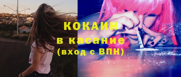 шишки Алексин
