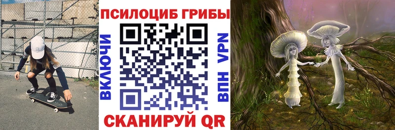 Псилоцибиновые грибы Cubensis Сухиничи
