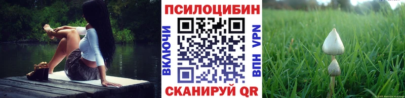Галлюциногенные грибы ЛСД  KRAKEN зеркало  Сухиничи 